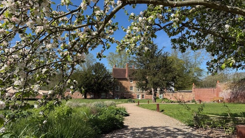 Blossom at Coventry Charterhouse